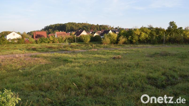 Das "Sondergebiet Sportpark, Teilbereich Südspitze" steht ausschließlich Vereinen zur Nutzung zur Verfügung. Jetzt will hier die Wasserwacht eine Lagerhalle errichten. Bild: bnr
