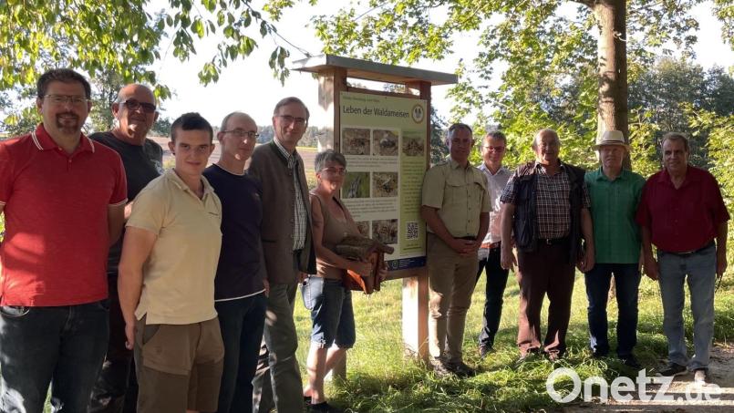 MdL Alexander Flierl, Bürgermeister Martin Birner und Mitglieder des Stadtrates informieren sich über die Projektwiese, die Erfolge des Arbeitskreises und beteiligen sich an der Anbringung von Vogelbruthäusern für verschiedene Meisenarten. Bild: Jule Donhauser/exb