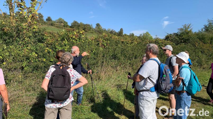 Heimatpfleger Josef Popp hatte einiges über den Hopfenanbau in Schmidmühlen zu erzählen Bild: pop