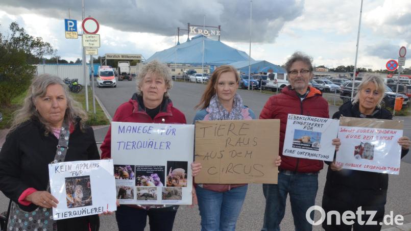 Die Katzenhilfe Kaltenbrunn demonstriert gegen die Wildtierhaltung im Circus Krone. Bild: Kunz