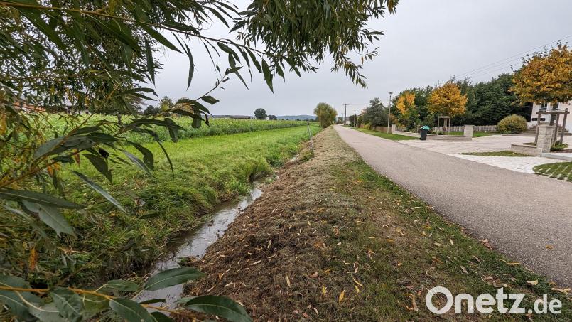Entlang des Lohgrabens könnte in Zukunft ein Radweg in Richtung Nabburg gebaut werden. Bild: wrl