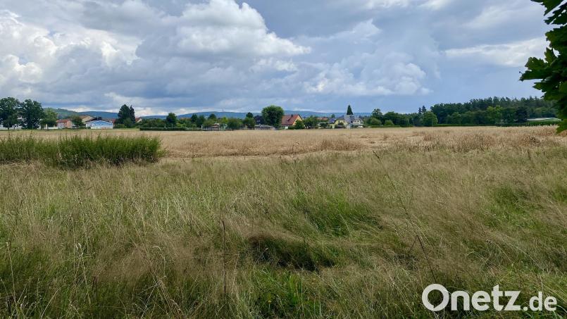 Im künftigen Gewerbegebiet Sauernlohe wird es nur zwei Straßennamen geben, darauf hat sich der Gemeinderat verständigt. Archivbild: Eichl