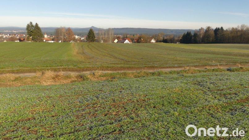 Im Baugebiet Am Kalkofen II sollen 60 Parzellen entstehen. Bild: rn