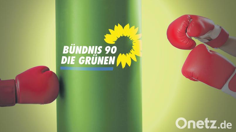 Grüne Prügelknaben. Die Partei hat zuletzt sehr polarisiert. Bild: Laura Fröhler