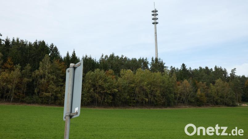 In diesem Privatwald bei Littenhof an der Grenze zum Landkreis Amberg-Sulzbach steht der neue BOS.-Sendemast, den auch private Mobilfunkanbieten nutzen werden. Bild: Hirsch