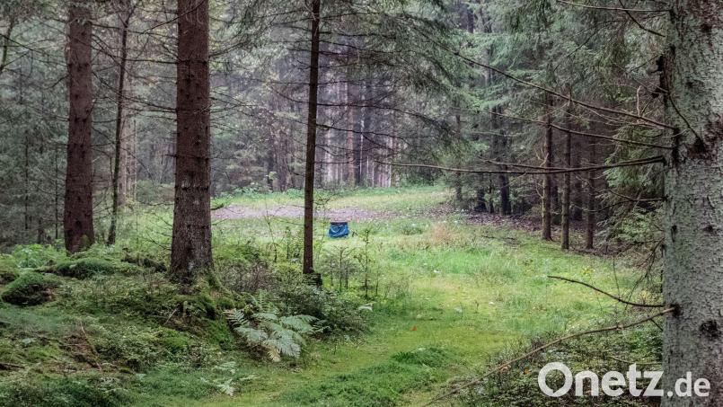 Unter der blauen Verkleidung verbirgt sich eines von insgesamt drei Versuchsbohrlöchern im Naaber Wald. Die Stadt Bärnau überlegt, ein oder mehrere Bohrlöcher zu Trinkwasserbrunnen auszubauen. Bild: Susanne Forster