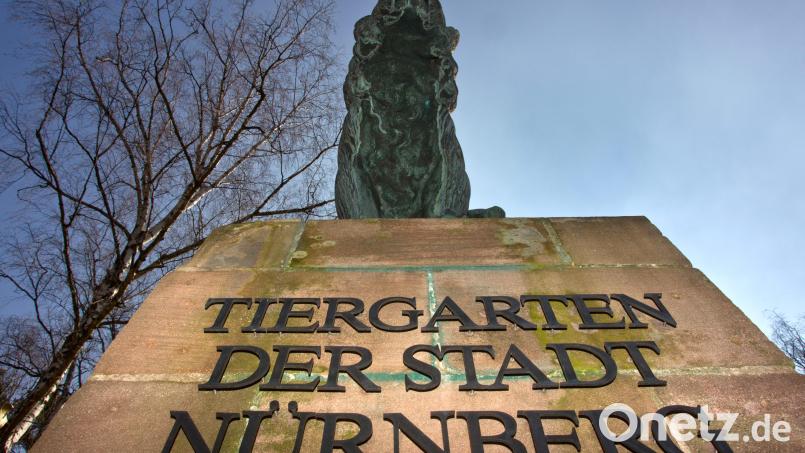 In Nürnberg und Straubing gibt es Pläne für die Erhöhung der Eintrittspreise. Nicht alle sind damit einverstanden. Symbolbild: Daniel Karmann/dpa