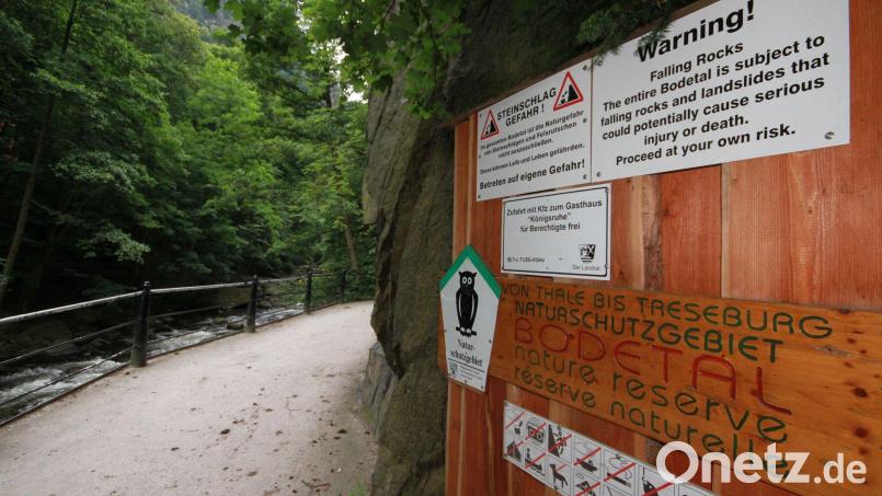 Am Freitagnachmittag ist in Thale im Harz ein Mann auf einem Wanderweg tödlich verunglückt. Bild: Matthias Bein/dpa-Zentralbild/dpa