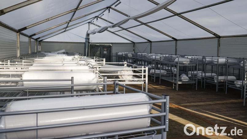 Im Landkreis Tirschenreuth soll ein Zelt zur Unterbringung von Asylbewerbern aufgestellt werden. Auf dem Bild stehen Feldbetten und Matratzen in einem Zelt auf dem Gelände der Landesunterkunft für Flüchtlinge in Boostedt (Schleswig-Holstein). Symbolbild: Frank Molter/dpa