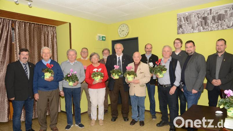 Vorsitzender Helmut Grünbauer (links), Zweiter Vorsitzender Markus Grünbauer (von rechts) loben die Treue der langjährigen Mitglieder Johann Kiener, Hans Kick, Elfriede Ring, Franz Rippl (alle 50 Jahre), Siegbert Köhler, Johann Schafhauser (beide 40 Jahre, vordere Reihe von links) und Franz Jobst. Hans-Otto Lindner, Roland Rauch (alle 20 Jahre) und Sebastian Stoppe (10 Jahre, hinten, von links). Bild: bey