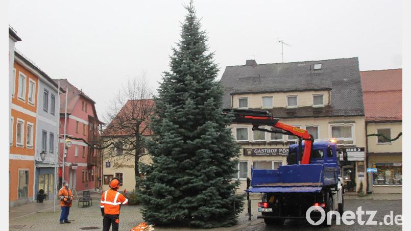 Der Weg des Christbaums auf den Marktplatz Oberviechtach ist kurz. Meistens stammt die Tanne aus einem Privatgarten. Archivbild: frd