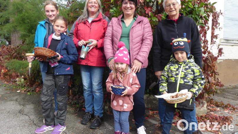 Krokusse pflanzten die jungen Gärtner bei der Kinderaktion des Obst- und Gartenbauvereins Altendorf. Bild: Angelika Lang-Salzl/exb