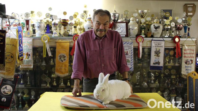 Der Kleintierzuchtverein Krummennaab feiert Jubiläum. Vorsitzender Wolfgang Brunhofer und sein &quot;Weißer Neuseeländer&quot; freuen sich schon. Bild: Tristan Hagspiel/exb