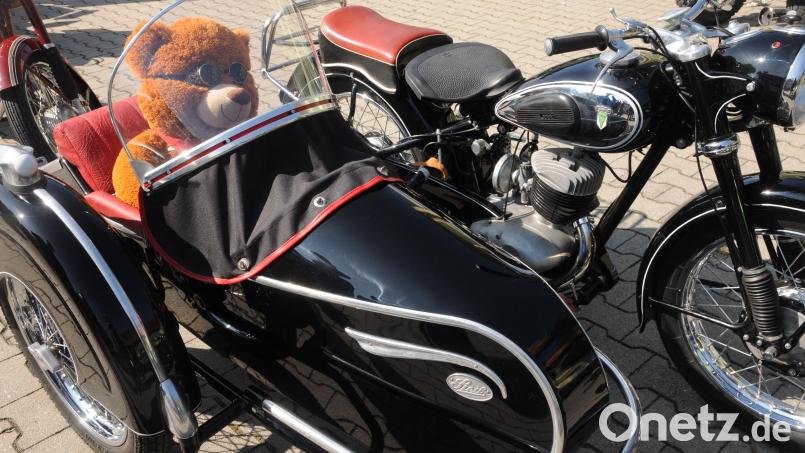 Der Teddy fühlte sich im DKW-Gespann von 1954 pudelwohl. Bild: ge