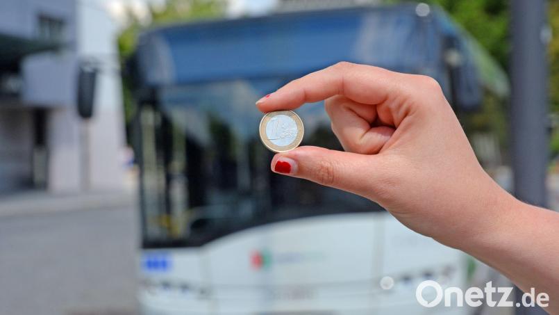 Deutlich mehr als einen Euro lässt sich der Landkreis die bessere Bus-Anbindung des Schönseer Landes an den Landkreis Cham kosten. Bild: Gabi Schönberger