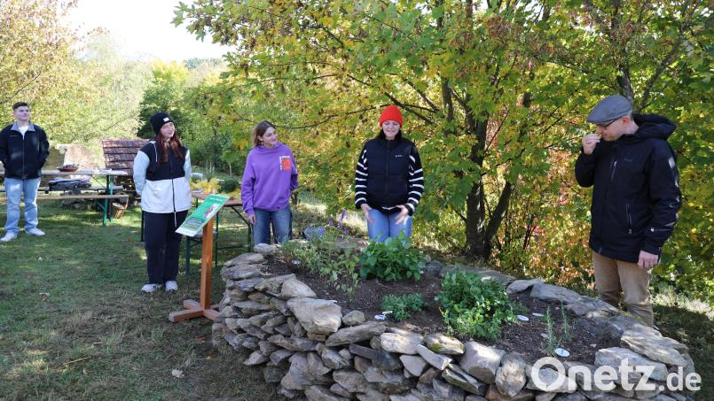 Schülerinnen des Nabburger Gymnasiums präsentieren Museumsleiter Tobias Hammerl den Sinnesgarten. Bild: Bettina Kraus/exb