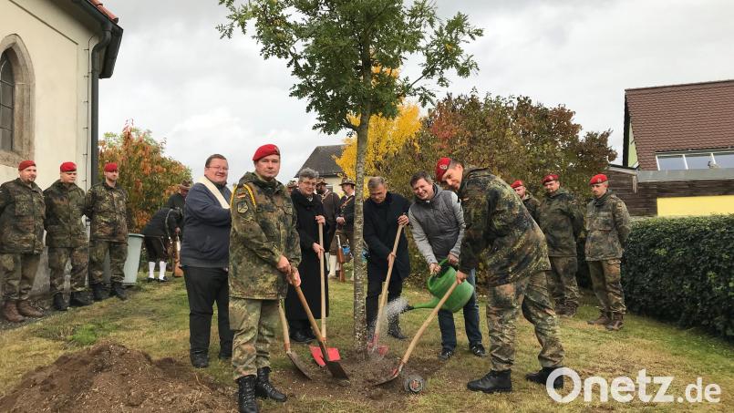 Eine stattliche Eiche der Patenschaftsbaum. Gärtnermeister Felix Punzmann (vorne, Zweiter von rechts) überwacht die Pflanzung und weiß, dass Gießen auf keinen Fall schadet. Bild: Stadt Windischeschenbach/exb