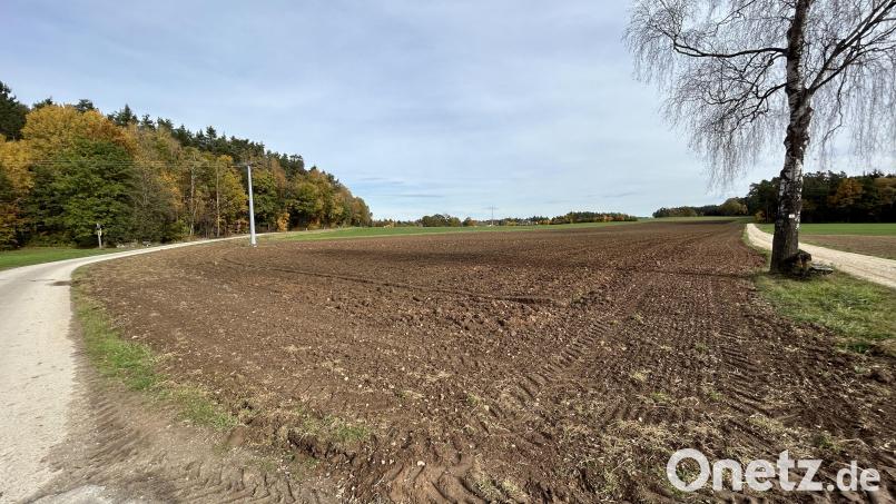 Auf diesem bisher intensiv landwirtschaftlich genutzten 3,3 Hektar großen Acker zwischen Stifterslohe und Prohof soll künftig Sonnenstrom erzeugt werden. Der Sulzbach-Rosenberger Stadtrat machte den Weg frei dafür. Bild: Andreas Royer