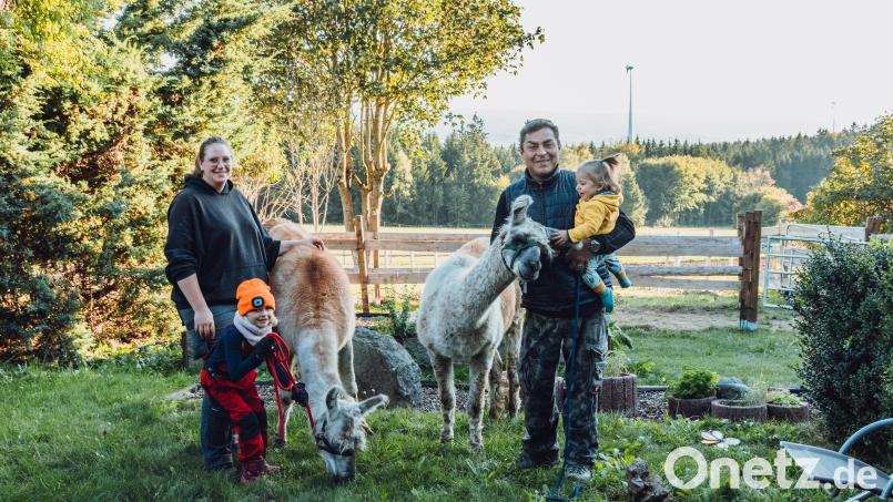 Franziska Völkl, Tochter Emma, ihr Mann Giovanni Alegre und Sohn Jakob. Die Familie hat sich mit ihren Lamas am Ahornberg einen Lebenstraum verwirklicht. Bild: Susanne Forster