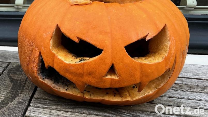 Eine Halloween-Party unter einer Autobahnbrücke wurde am Mittwochmorgen ein Fall für die Amberger Polizei. Symbolbild: Heike Unger