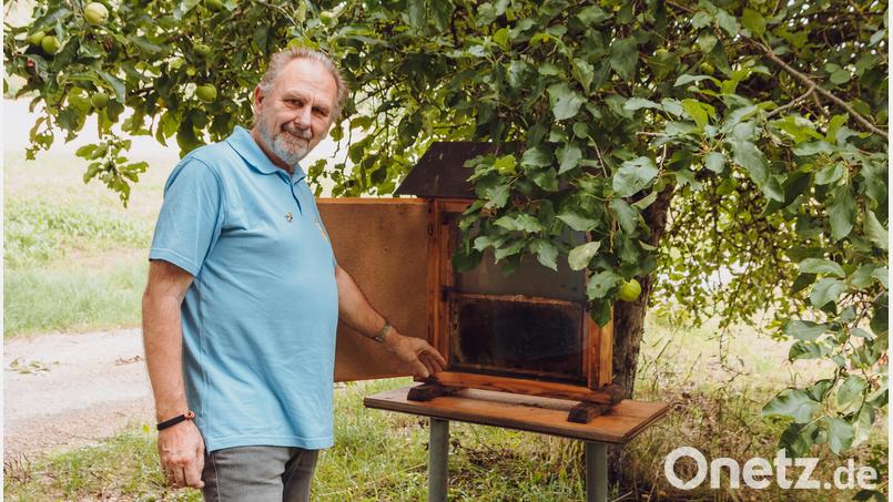 Vorsitzender Joachim Pickel am Ausgangspunkt des Bienenlehrpfads bei Eberhardsbühl, den der Bienenzuchtverein Edelsfeld betreut. Archivbild: Susanne Forster