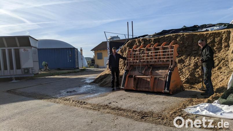 Vater Hans (Rechts) und Sohn Michael Sorgenfrei beim Silo für die Biogasanlage in Gaisthal. Nicht nur die Rinder im Stall, sondern auch die Biogasanlage müssen täglich gefüttert werden. Bild: eib