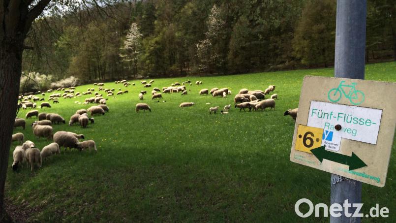 Für den Naturpark Hirschwald und die weitere Umgebung gibt es jetzt eine neue Landkarte für Wanderer und Radler. Archivbild: Naturpark Hirschwald/exb