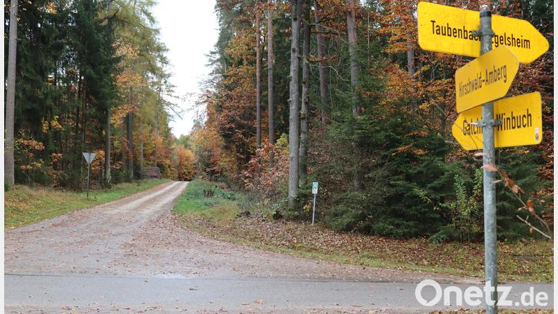 Im Taubenbacher Forst wie hier bei der Forststraße an der Kreuzung Richtung Süden zu den &quot;Drei Linden&quot; liegen die Windpotenzialflächen auf dem Gebiet der Marktgemeinde Rieden. Bild: mrr