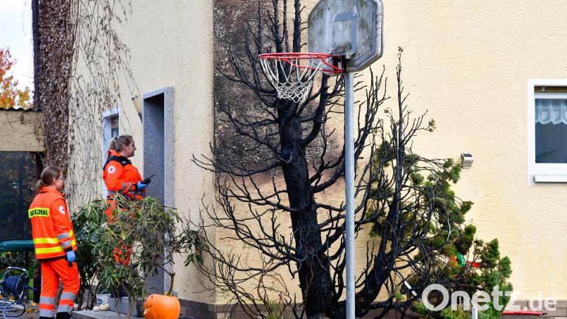 In diesem Vorgarten an der Peter-Henlein-Straße in Amberg stand am Montag, 6. November, ein Baum in Flammen. Ein Fünfjähriger hatte zuvor mit einem Feuerzeug gespielt. Bild: Petra Hartl