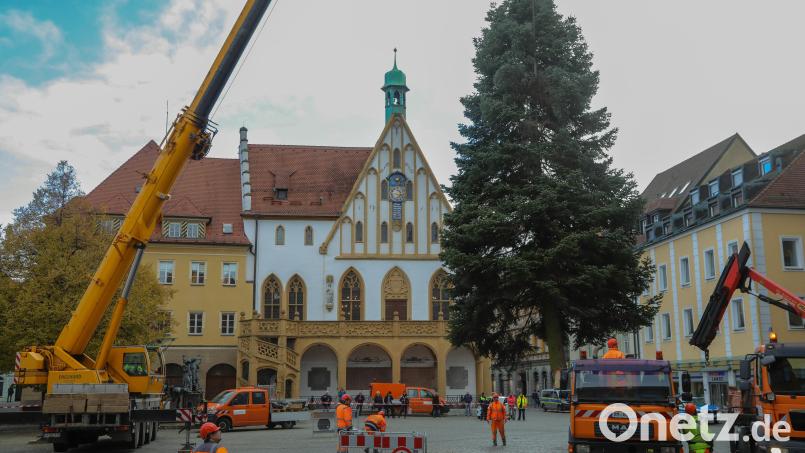 Der Weihnachtsbaum für den Marktplatz wird angeliefert. Diese 18 Meter große Tanne steht seit Montag, 6. November, im Herzen der Altstadt. Bild: Wolfgang Steinbacher