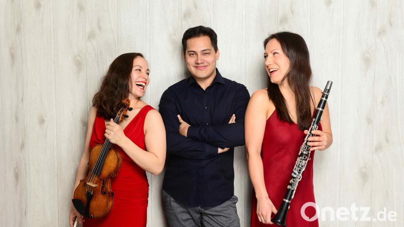 Das Trio Schmuck liefert die Musik zu einem Kammerkonzert am 15. November in der Berufsschule Sulzbach-Rosenberg. Bild: Studioline Photography/exb
