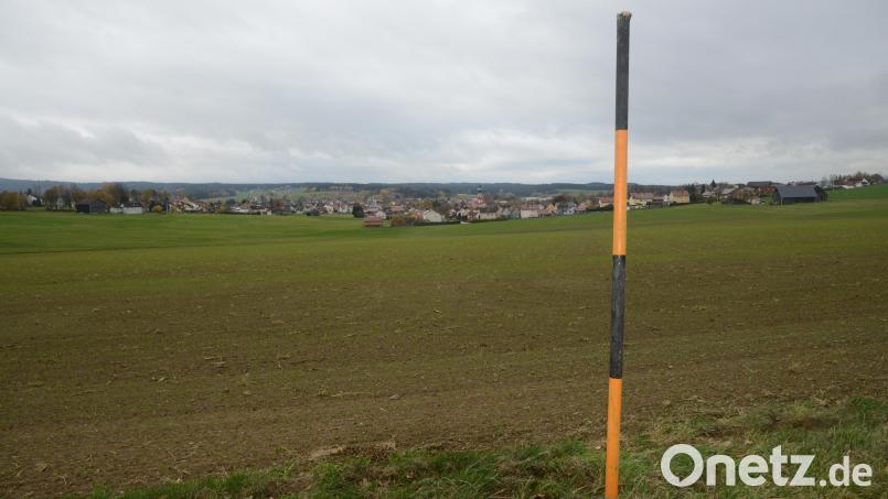 Diese Schneezeichen sind Hilfe für den Schneeräumdienst und dieVerkehrsteilnehmer. Deshalb bittet Bauhofleiter Anton Hochwart um schonenden Umgang mit den Zeichen und diese nicht einfach "einzumulchen". Bild: bey