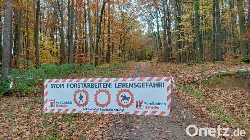 Lebensgefahr! Diesen Hinweis sollten Wanderer, Jogger und Radfahrer auf dem Eixlberg unbedingt ernst nehmen - auch wenn gerade keine Motorsäge zu hören ist. Bild: bl