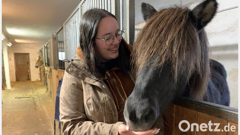 Julia Herold und ihre &quot;Lykkja&quot; begleiten den diesjährigen Martinszug in Neunkirchen. Bild: Gabi Schönberger