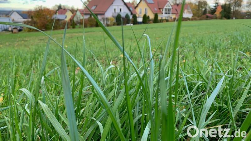 Viele Bewerber hoffen, dass sie im Baugebiet &quot;Am Kalkofen II&quot; in Eschenbach einen der 60 Bauplätze bekommen. Einige werden wohl aber auch leer ausgehen. Bild: Gabi Schönberger