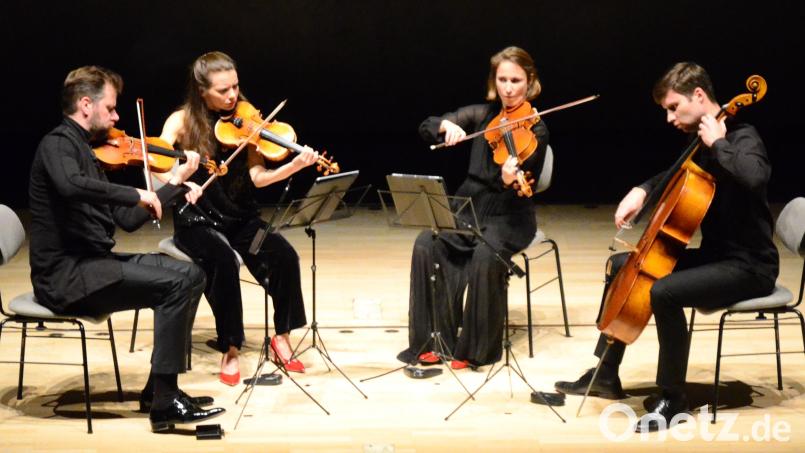 Das Armida Quartett spielt in der Weidener Max-Reger-Halle. Bild: Kunz