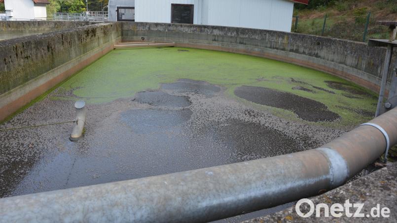 Mit Quecksilber verunreinigt war der Klärschlamm der Marktgemeinde in der Kläranlage Bad Neualbenreuth
im Ortsteil Maiersreuth. Die Kosten für die Entsorgung und die Energiepreise treiben jetzt die Abwassergebühren in die Höhe. Archivbild: jr