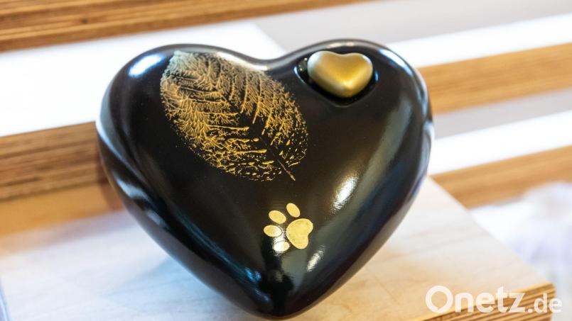 Tierbesitzer können die Zeremonie in der Kirche ganz individuell gestalten. Bild: Silas Stein /dpa