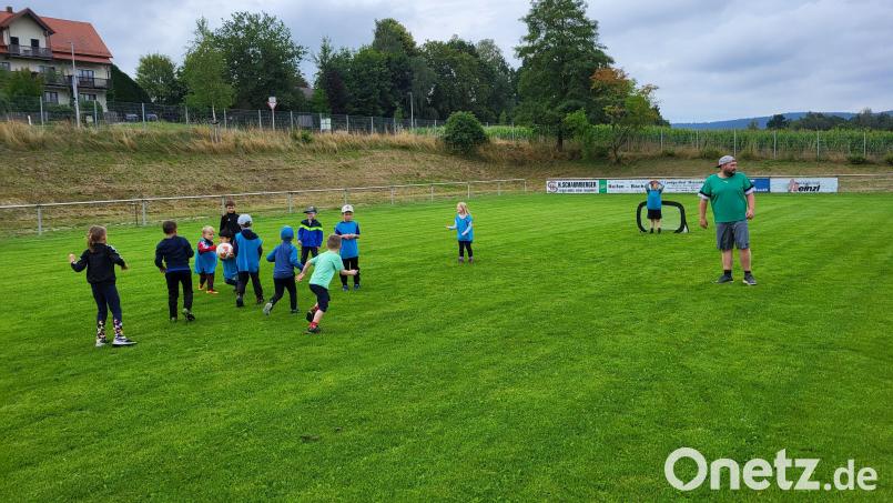 Immer mehr Kinder fangen beim TSV Neualbenreuth das Fußballspielen an. Hier eine Station beim Ferienprogramm mit Vorsitzendem Daniel Grillmeier. Archivbild: TSV Neualbenreuth/exb