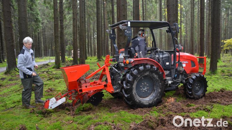 Furche um Furche zieht die Maschine, hinter der Forstdirektor Gerhard Hösl noch händisch einige Samen zusätzlich ausbringt. Bild: dob