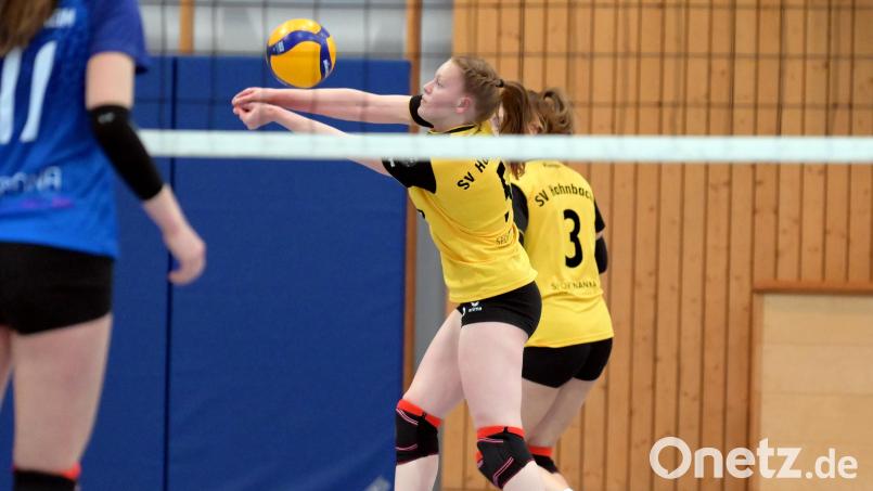 Eine vorbildliche Ballannahme ist eine Grundvoraussetzung, damit die Hahnbacher Volleyballerinnen gegen den TSV Ansbach bestehen können. Bild: Hubert Ziegler