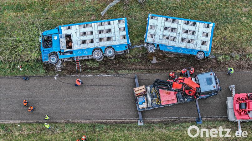 Ein Tiertransporter liegt nach einem Unfall auf der Verbindungsstraße zwischen Frankenhofen und Irsingen neben der Fahrbahn Bild: Jason Tschepljakow/dpa