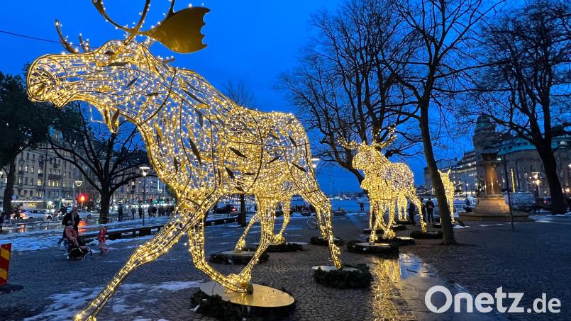 Beleuchtete Elchfiguren im zentral gelegenen Berzelii-Park: Während der Winterzeit wird in Stockholm illuminiert, was das Zeug hält. Bild: Verena Wolff/dpa