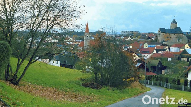 Mit einem Förderprogramm wirbt der landschaftlich schön gelegene Markt Falkenberg (Bild) um junge Famlien. Gefördert werden Neu- und Umbauten sowie Sanierungen im gesamten Gemeindegebiet. Bild: wro