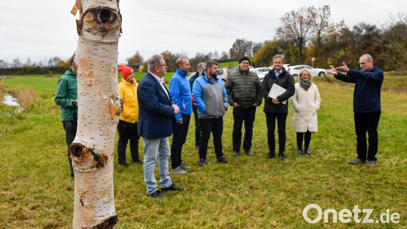 Selbst Florian Haas (rechts), der als oberster Naturschützer der Stadt naturgemäß viel mit Bäumen zu tun hat, kann ohne Laub kaum den Unterschied zwischen &quot;normaler&quot; Birke und Moorbirke feststehen. Der Amberger Umweltausschuss pflanzte eine solche neben dem Krumbach. Bild: Petra Hartl