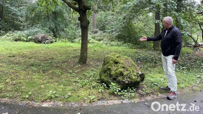 Genau an diesem Ort auf dem Waldfriedhof sieht CSU-Stadtrat Hans-Jürgen Gmeiner seine Vision verwirklicht: das Eichengrabfeld. Bild: kmo