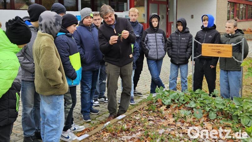 Besuch vom ehemaligen Schüler und passionierten Landwirt Hubert Rustler erhielten die Sechstklässler an der Realschule im Stiftland. Bild: Realschule im Stiftland/exb