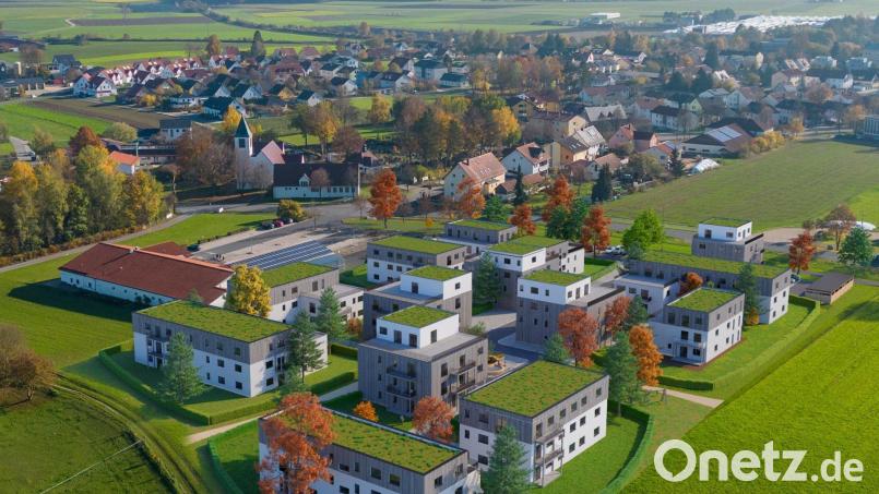 Diese Visualisierung der Wohnkomplexe zeigt, dass alle Gebäude einmal begrünte Dächer erhalten sollen. Grafik: MZ Immobilien GmbH &amp; Co.KG/exb