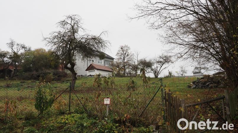 Von der Nachverdichtung der Innenstadt wären die Badgaßgärten betroffen. Mit dem Bebauungsplan beschäftigte sich nun der Stadtrat in der Novembersitzung. Der aktualisierte Entwurf wird erneut ausgelegt. Bild: lum