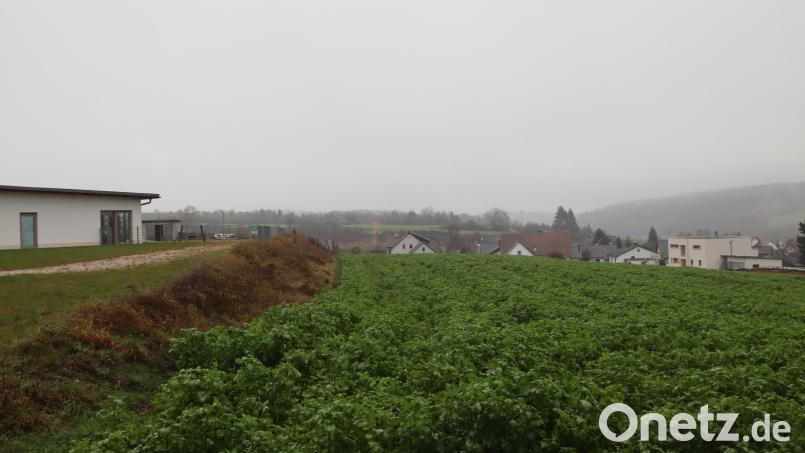 Zwischen der bestehenden Wohnbebauung und dem Riedener Kindergarten St. Georg (Gebäude links) soll ein Baugebiet entstehen, das 17 bis 20 Parzellen umfasst. Bild: mrr